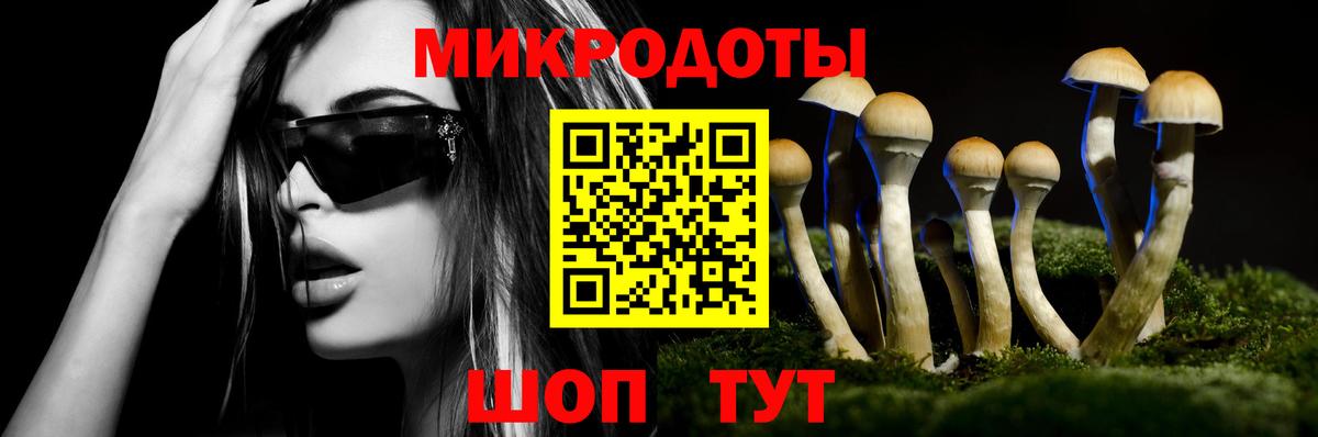 Галлюциногенные грибы Magic Shrooms  Вход с VPN  Галлюциногенные грибы GOLDEN TEACHER  Армавир 